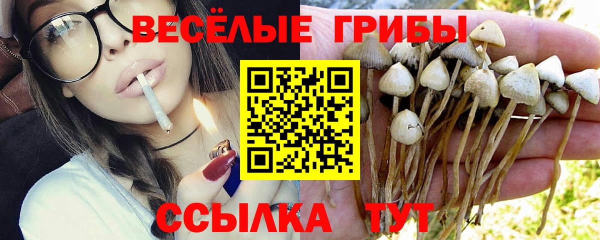 Галлюциногенные грибы Cubensis Шадринск
