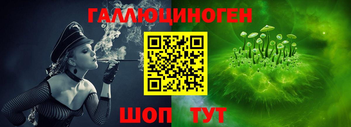 Псилоцибиновые грибы мухоморы  Вход с VPN  Шадринск  Псилоцибиновые грибы GOLDEN TEACHER 